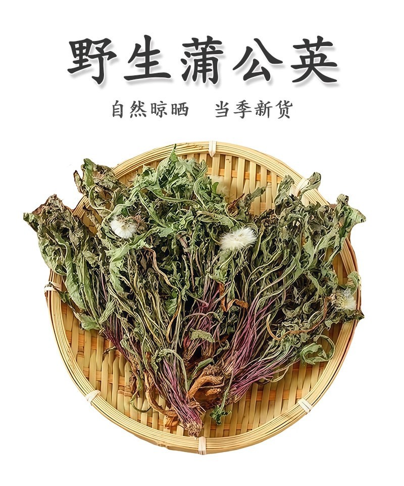 Wild Dandelion Herb Pu Gong Ying Dried Whole Plant for Herbal Tea and Decoction 500g overview