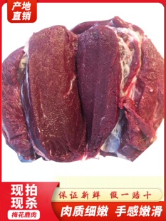 ���r�F���|������÷��¹��2��5�� �r¹�����r��¹������S���]