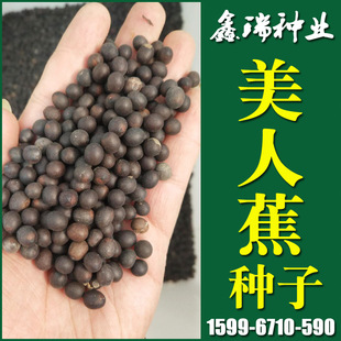 �@�־G���е�����ľ�����˽��N�ӡ�ˮ�����ܹ�ľ��ľ��ľ��N��