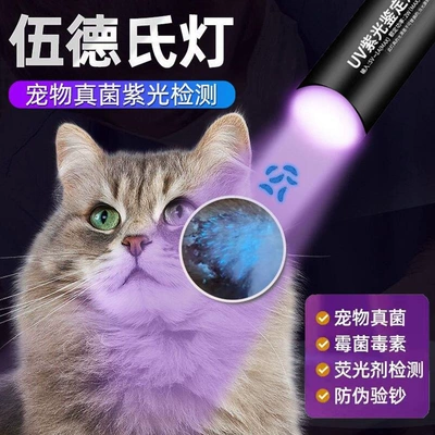 lamp for detecting cat fungus, UV fənərlər
