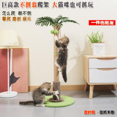 大号猫爬架小型不占地猫架子磨抓不掉屑猫窝抓柱幼猫咪玩具用品