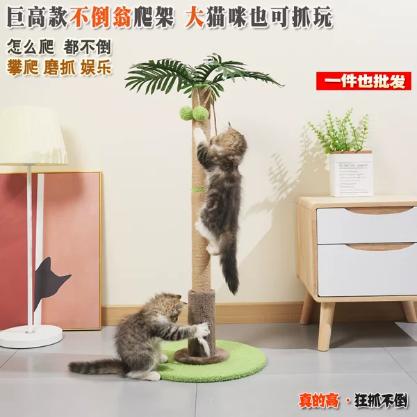 Large Cat Climbing Frame, Small Non-Occupying Cat Frame, Scratch-Free Cat Nest, Scratching Post, Kitten Toys and Supplies