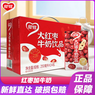 �y����t��ţ���Ʒ250mlx24������I�B�����W�������