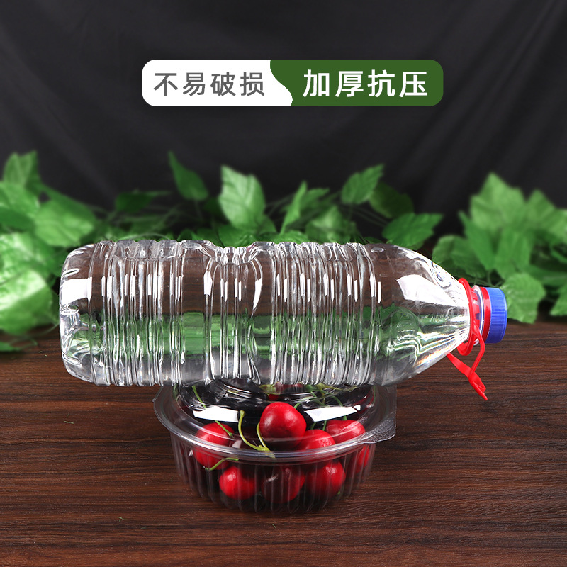 Caja desechable para envasar frutas, redonda con tapa, transparente, de plástico PET grueso, para llevar ensaladas de frutas y verduras.