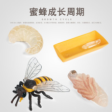 ��ͯ����J֪���x�����۷���L����ģ�͔[��ϐ����������ư�x��