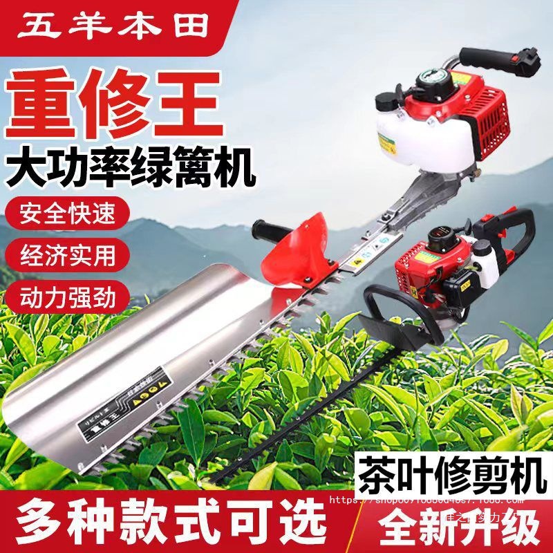 进口五羊本田汽油绿篱机茶树剪茶机割茉莉花机横县园林绿化原装