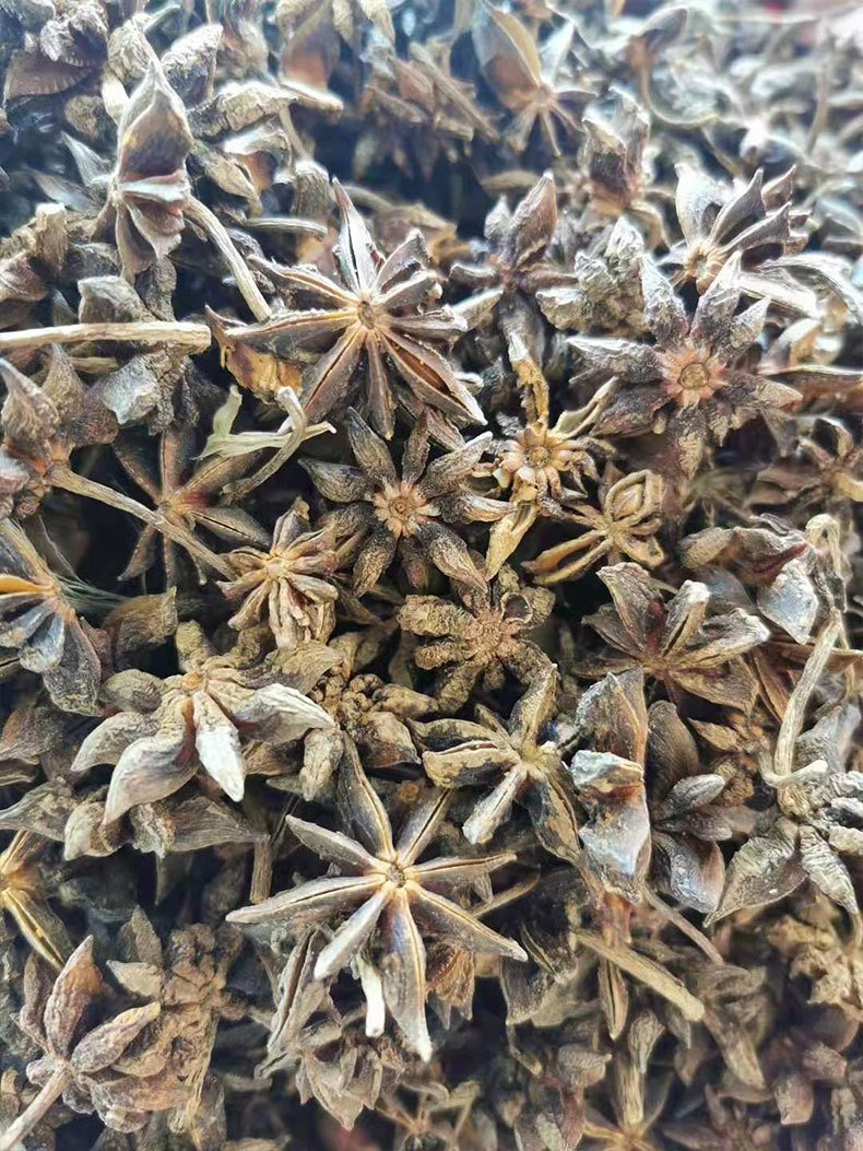 Whole Star Anise Da Hui Xiang Dried Illicium verum Fruit Culinary Spice 500g in use