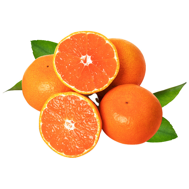 浙江涌泉蜜桔产地直发新鲜蜜桔包邮新鲜水果涌泉蜜橘一件代发