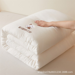 Live gift wholesale package testing class a 100 Xinjiang cotton quilt cloth embroidery winter quilt spring and autumn quilt core high-grade