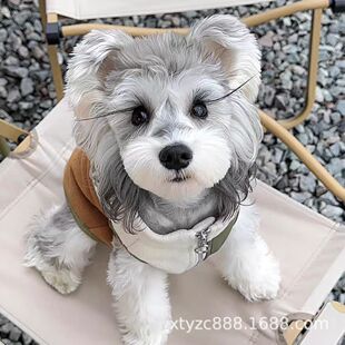 ���B���Nѩ�{����Ȯ�����ͻС�wȮ���}ɫ���ﹷ����ϵѩ�{��