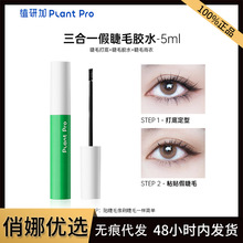 plantproֲмһٽëzˮ־ö͜غͲ̼ճë