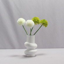 INS����Ȧ�����ɫˮ��ɻ��մɻ�ƿ�Ҿ��Ʒ�����մɻ�����؛