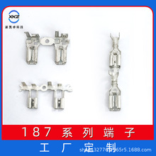 187ֱ����������4.8��ɲ�Ƭ��/��/�ͽ�ĸ��ԭɫ �������߶���