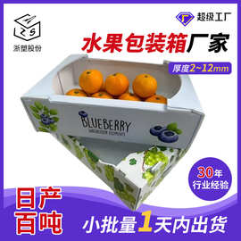 浙江食品级水果盒塑料中空板水果箱水果包装盒带盖精品防潮盒大号