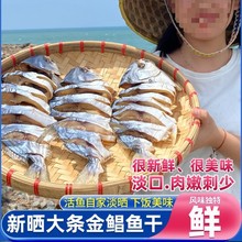 阳江特产大金鲳鱼干海鲜干货咸鱼干淡晒金昌鱼自制风干超下饭鱼干