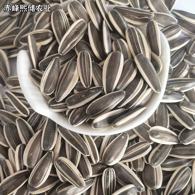 26c07f5b7825a3dc4cafc0958bf53b