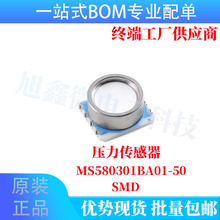 ԭװ��ƷMS580301BA01-50 �߷ֱ��ʸ߶ȼƴ����� ѹ��������
