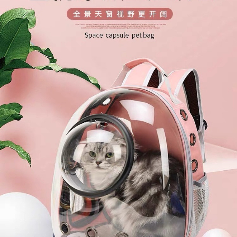 투명 파우더(커버가 있는 통기성 모델)