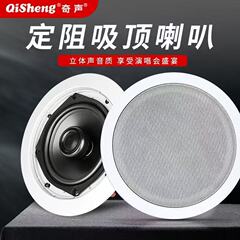 Qisheng 固定抵抗天井スピーカーホームリビングルームオーディオ天井 3D5.1 サラウンドスピーカー壁掛け埋め込み
