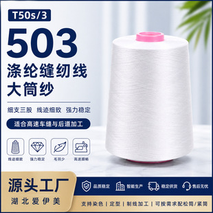 ȫ�� ��  ��] �h�V�� Ͳ�� �Ϲ�50֧/3�� ��Ͳ 503