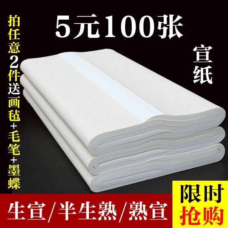 书法纸宣纸100张初学者生宣纸国画专用书法练习纸四尺三尺纸