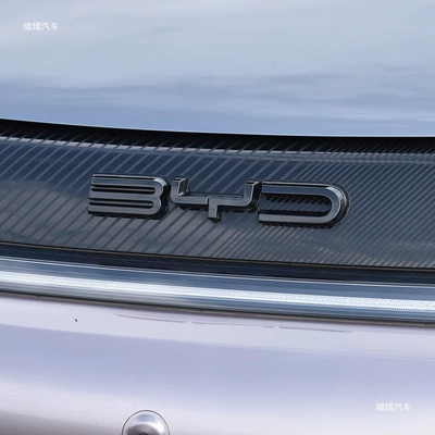 carbon fiber pattern front emblem: Car logo