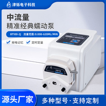 定制小型工业级调速型蠕动泵BT100定滴泵多通道数显调加药恒流泵