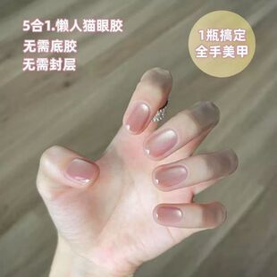 ����һ؈��ָ�����z��ɫ���һ2026���¿��ﶬ�o����z��������z