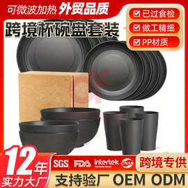 跨境TEMU16件套碗盘碟杯餐具家用塑料加厚套装礼品代发亚马逊