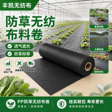 pp纺粘防草无纺布卷材定制抗老化大棚农用黑色除草抑草布成卷厂家