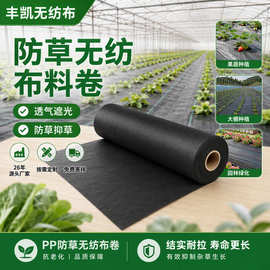 pp纺粘防草无纺布卷材定制抗老化大棚农用黑色除草抑草布成卷厂家