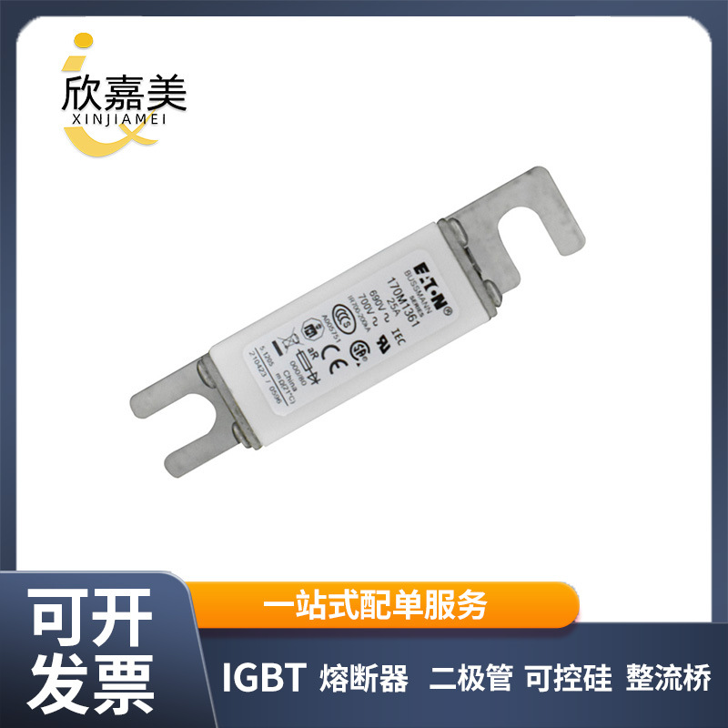 170M1361 170M1362  快速熔断器  全新原装 现货直发 量大价优