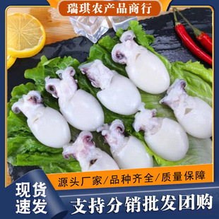 ī�~��������\ī�~��֭���~��Ŀ�~��С�������ī�~���^���Ɵ���