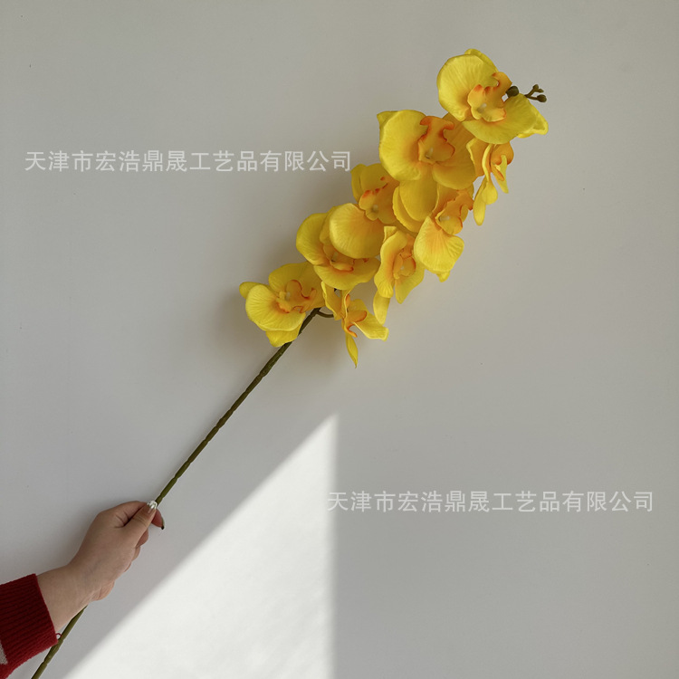 微信图片_202303031341503_副本