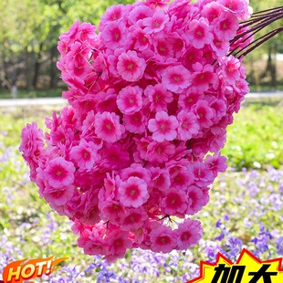 �ѻ�֦���ܙѻ���÷���滨�һ�֦��c���ϻ��͏d��픻����b���