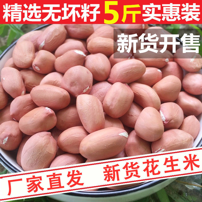 新貨特價生花生米無殼新鮮現挖粉紅皮花生米批發價現剝農家生花生