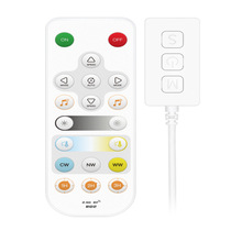 SP542E双通道双色温led灯带灯条控制器支持智能语音控制或遥控器