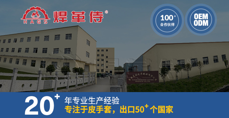通版-版头-中文.png