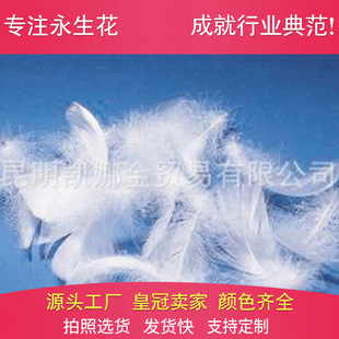 �¿��Zë�Y�� �������˹��}�Q�ҾӶYƷ���նY����ı��r������