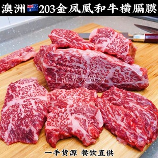 ����203���P�˼�Ѫ��ţ�M��Ĥţ��ȹţ��ȹ�o���⿾����ʽ����ţ