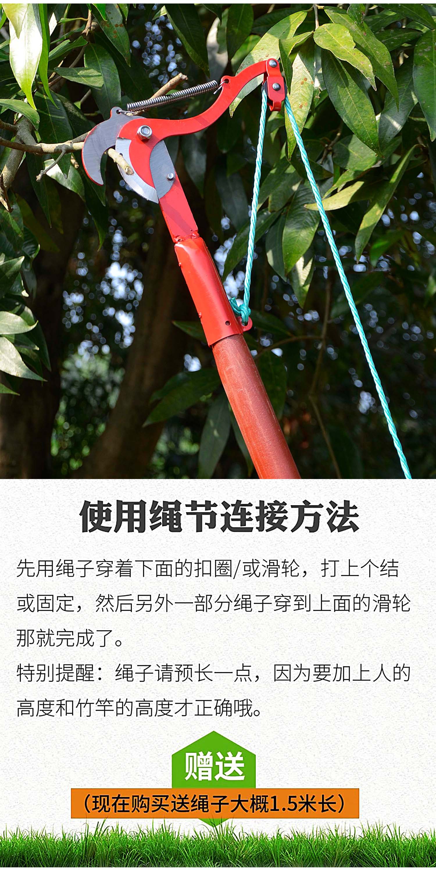 详情4