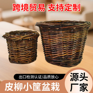 Ƥ��С�����Ԅ�����������廨�@�ӼҾӾGֲ���軨���ռ{��@�L