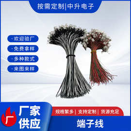 PH2.0MM-2P红黑单头端子环保电子线漆包线耳机LED线厂家现货批发