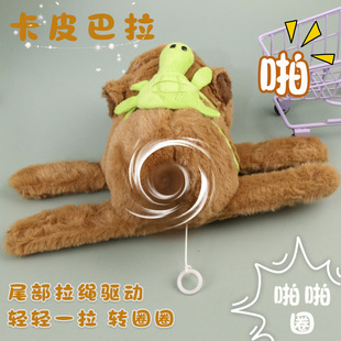 2026�R����żë�q���������Ф�R�����X耳׿۰���������������l