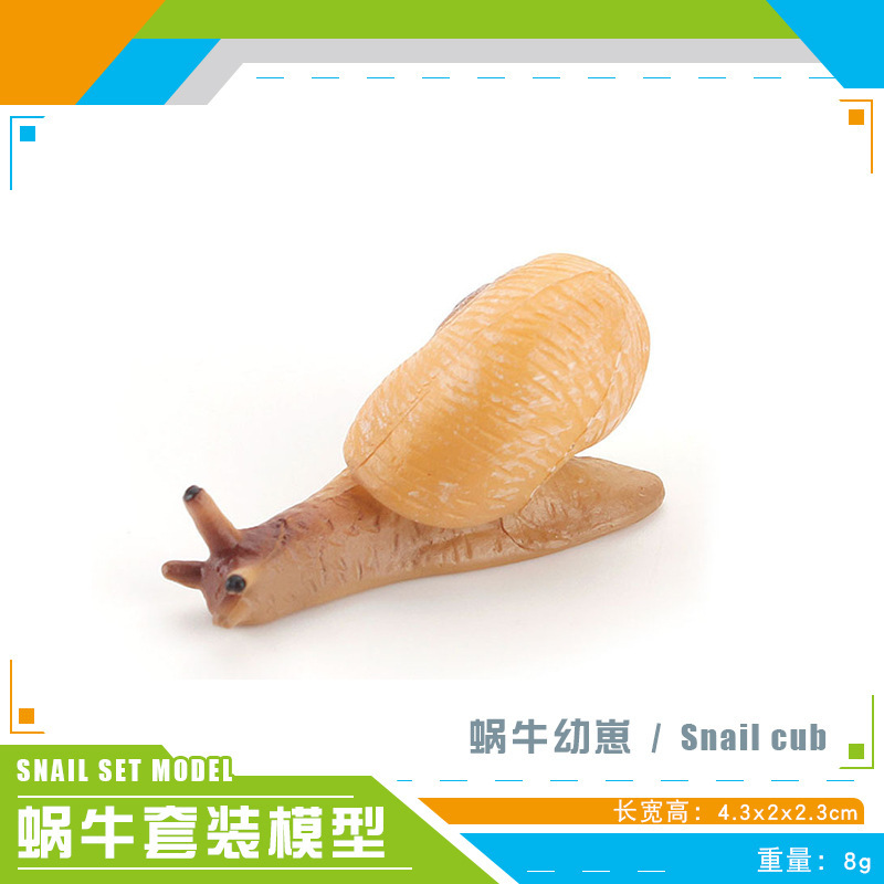 PL127-1736 Carne de Caracol 8g