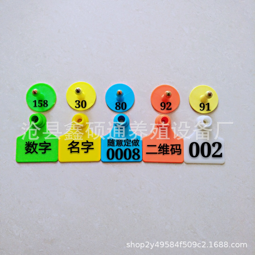 QQ图片20240607114253