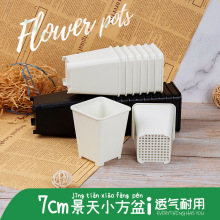 �F؛���l���⻨������С�׷��ڷ�����7����Ӻ�С̖����ֲ���~��