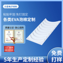 �t�{Ĥ�����z�� eva��ӌ�������z �����ճ ���h�����p���z���S