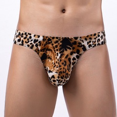 New men's triangular bikini sexy low-rise printed leopard snake pattern dropshipping one piece