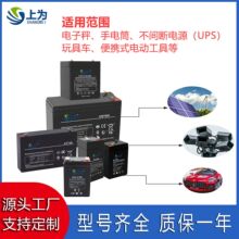 小密免维护铅酸蓄电池4V6AH6V5AH12V17AH 电子秤音响电瓶生产批发